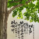 창해물 네이버블로그