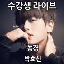 동경라이브