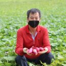 남궁농원 이미지