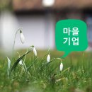 송림다움길마을관리 사회적협동조합 이미지
