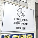 강아지분양 타임도그 애견샵 목동점 이미지