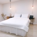 스테이 감동 이미지