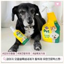 펫(PET)과 함께 | 강아지 오줌 냄새 제거 필수템, 애견 탈취제 유한크로락스펫 냄새얼룩제거제 추천해요