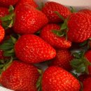 후평농장 이미지