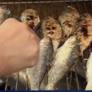 좋은세상 이미지