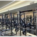 올 마이트 짐 이미지