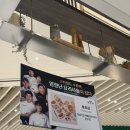 스타키친 | 수원 스타필드 흑백요리사 팝업｜키친보스X청포관 후기 (군만두 김치왕만두)