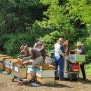 지리산벌꿀영농조합법인 이미지