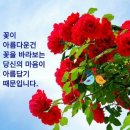 "성남누비길 및 영장산 걷기 운동"＜2019.05.28(화)＞ 이미지