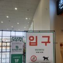 고려약국 | 부산 기장 창고형 약국 오시리아약국 후기