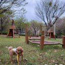 벨라펫살롱 이미지