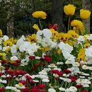 큰부자농장 이미지