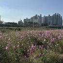 공릉천변 이미지