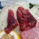 강경수참치 | [건대맛집] 가성비 좋은 "강경수 참치" 내돈내산 후기