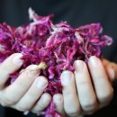 들뫼펜션 이미지