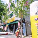 명동생칼국수 이미지