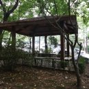 도곡1-110 이미지