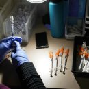 (주)웰스메디칼 이미지