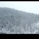 강릉영동대학 2 이미지