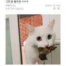 물물교환 이미지