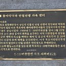 해안로 229번길 이미지