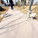 바르다펫 대전점 이미지