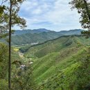 용계저수지 둘레길 이미지