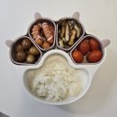 아기 토핑 이유식 식판 추천 키즈마일 퍼기 유아 흡착식판