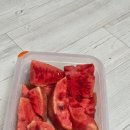 공주숲클라이밍짐 이미지