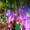 기만 | 연말 볼거리 광화문 아바타3 불과재 팝업스토어 대실망후기. 한국팬 기만하나요?