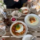 2023-03-0403 | 동반 맛집 추천] 서울 근교 일산에서 만나는 펫프렌들리 식당&카페 top4_삼식상/견애가/노만주의/카페0403