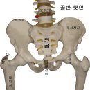 제인바디아트 이미지