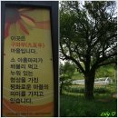 고흐와해바라기2 이미지