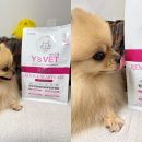 이씨양행 이미지