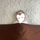 김혜정산후조리원 | [산후조리원] 김혜정 산후조리원 수성점 리얼 후기 (2편)