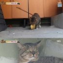 조준농장 이미지