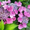 무정농장 이미지