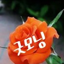 좋은사람들 Daum카페