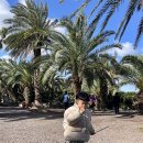 상가리농장 이미지