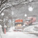 Snow County 이미지