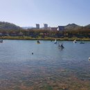 오십천둔치 이미지