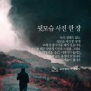 일번지농장 이미지