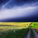 FANTASIA ( 이미지