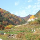 만추 이미지