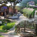 부흥민박 이미지