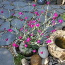 행정사 차종석 이미지