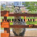 자작도 일광민박 이미지