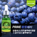 프라임주안 이미지