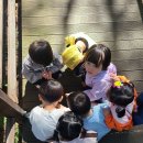 가조힐링랜드 이미지