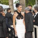 벨라.캣 이미지